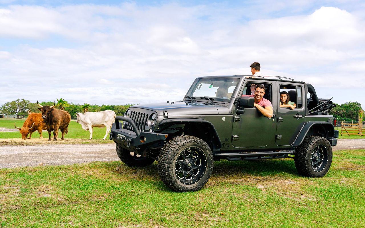 Orlando: Parco Safari Drive-Thru Wild Florida — 7