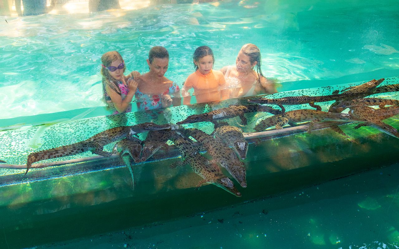 Biglietti Crocosaurus Cove con tour VIP — 8