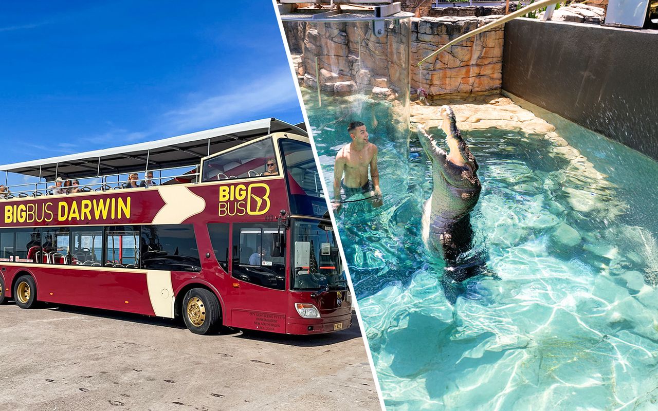 Combo: Tour in autobus Darwin Hop-on Hop-off + Biglietti Crocosaurus Cove + Biglietti per la struttura RFDS