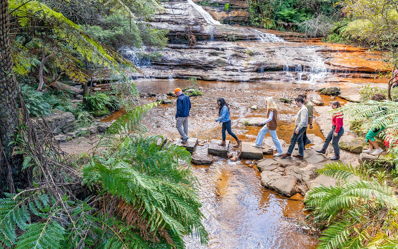 Tour delle Blue Mountains: Pranzo, Scenic World, Zoo di Sydney o Featherdale Wildlife Park, foto di Koala e ritorno in traghetto dal porto