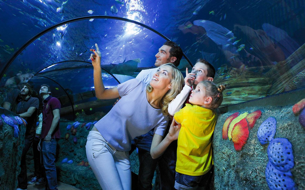 Biglietti d'ingresso al Gardaland SEA LIFE Aquarium — 5