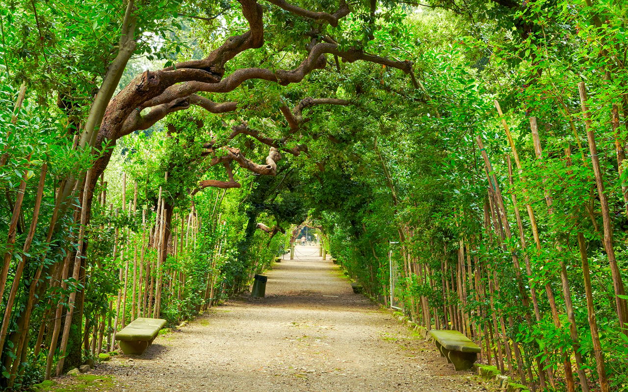 Tour guidato a Palazzo Pitti, alla Galleria Palatina e al Giardino di Boboli — 4