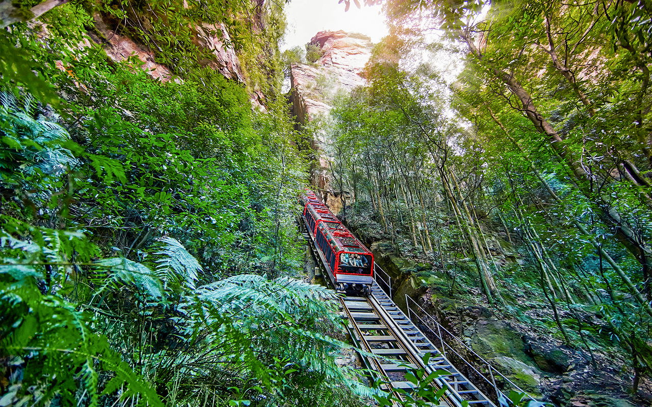 Tour delle Blue Mountains: Pranzo, Scenic World, Zoo di Sydney o Featherdale Wildlife Park, foto di Koala e ritorno in traghetto dal porto — 7