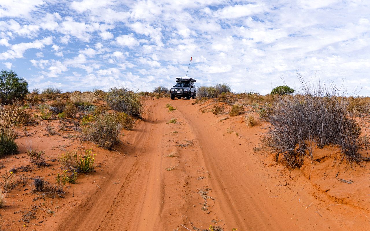 Isola di Moreton: Tour panoramico dei relitti e del faro di Tangalooma con pranzo — 2