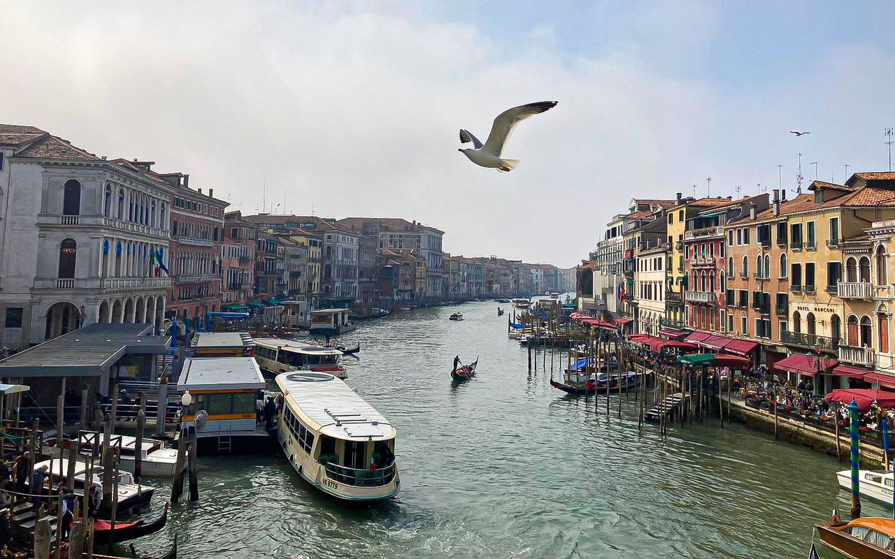 Crociera panoramica di 1 ora sul Canal Grande — 7