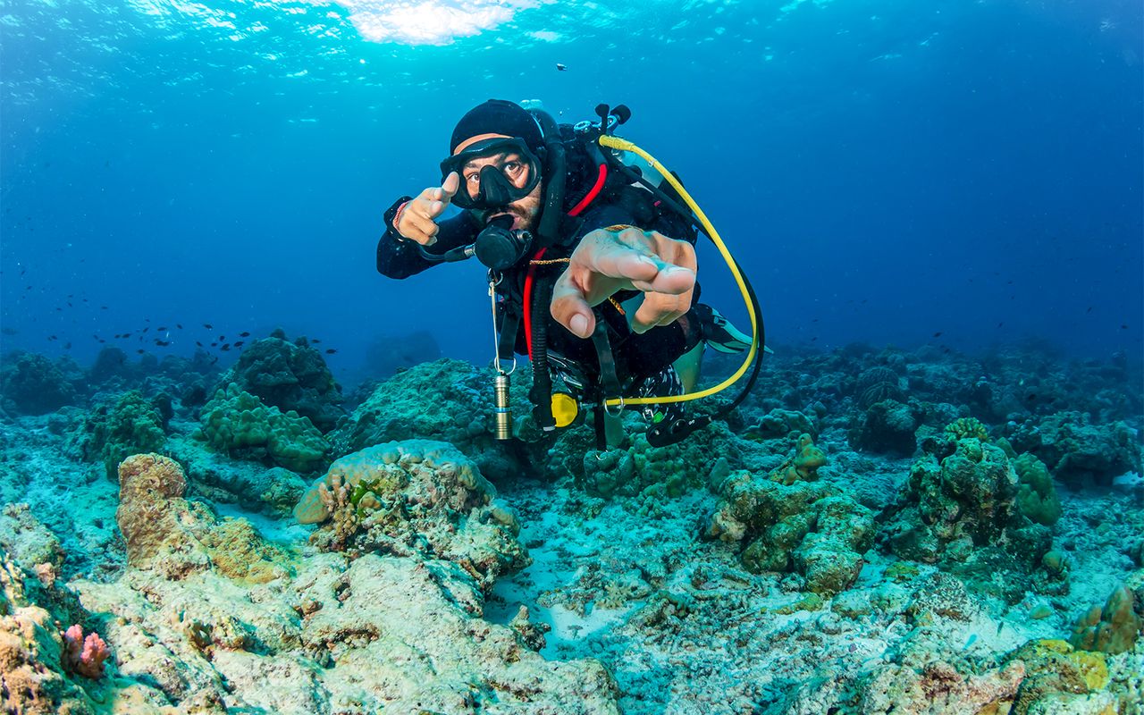 Isola di Moreton: Tour di immersioni subacquee a Tangalooma