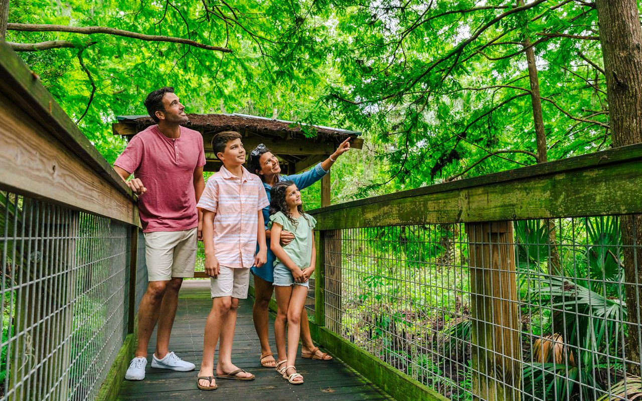 Orlando: Parco Safari Drive-Thru Wild Florida — 5