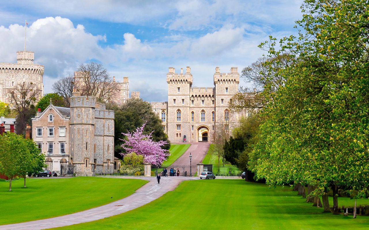 Da Londra: Tour di mezza giornata del Castello di Windsor