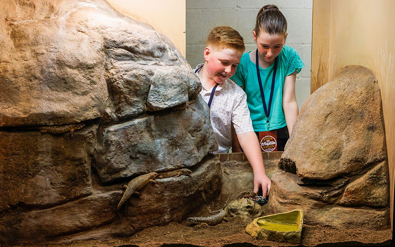 Crocosaurus Cove — 5