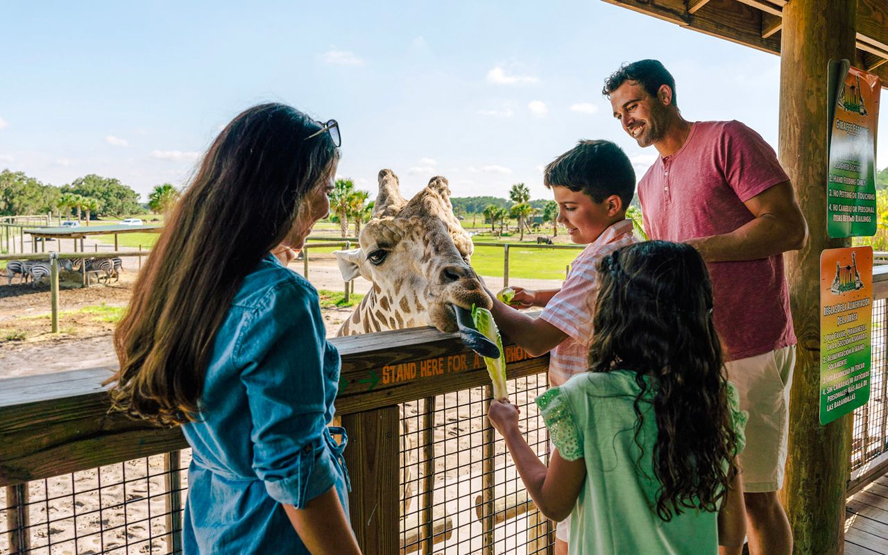 Orlando: Parco Safari Drive-Thru Wild Florida — 3