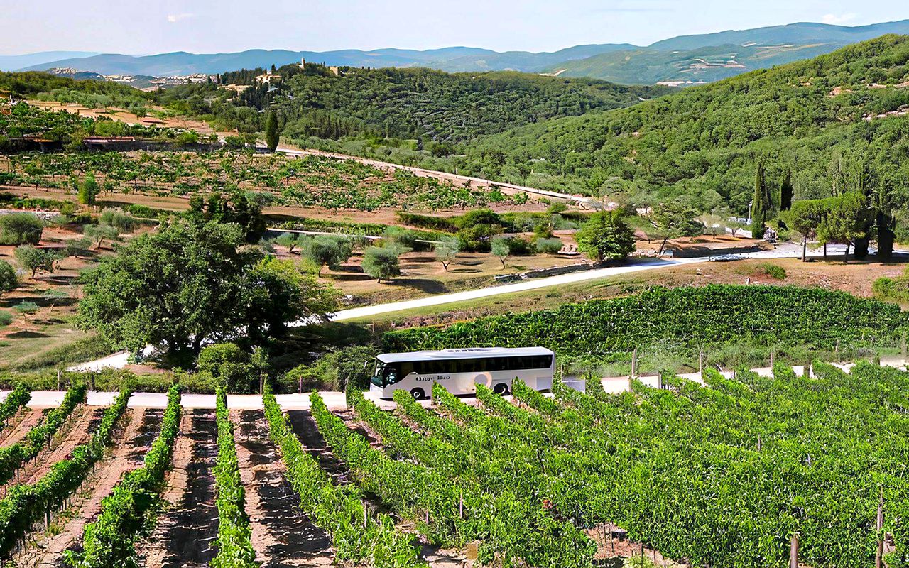 Da Firenze: gita di un giorno a Pisa, Siena, San Gimignano e nel Chianti con degustazione di vini e pranzo — 7