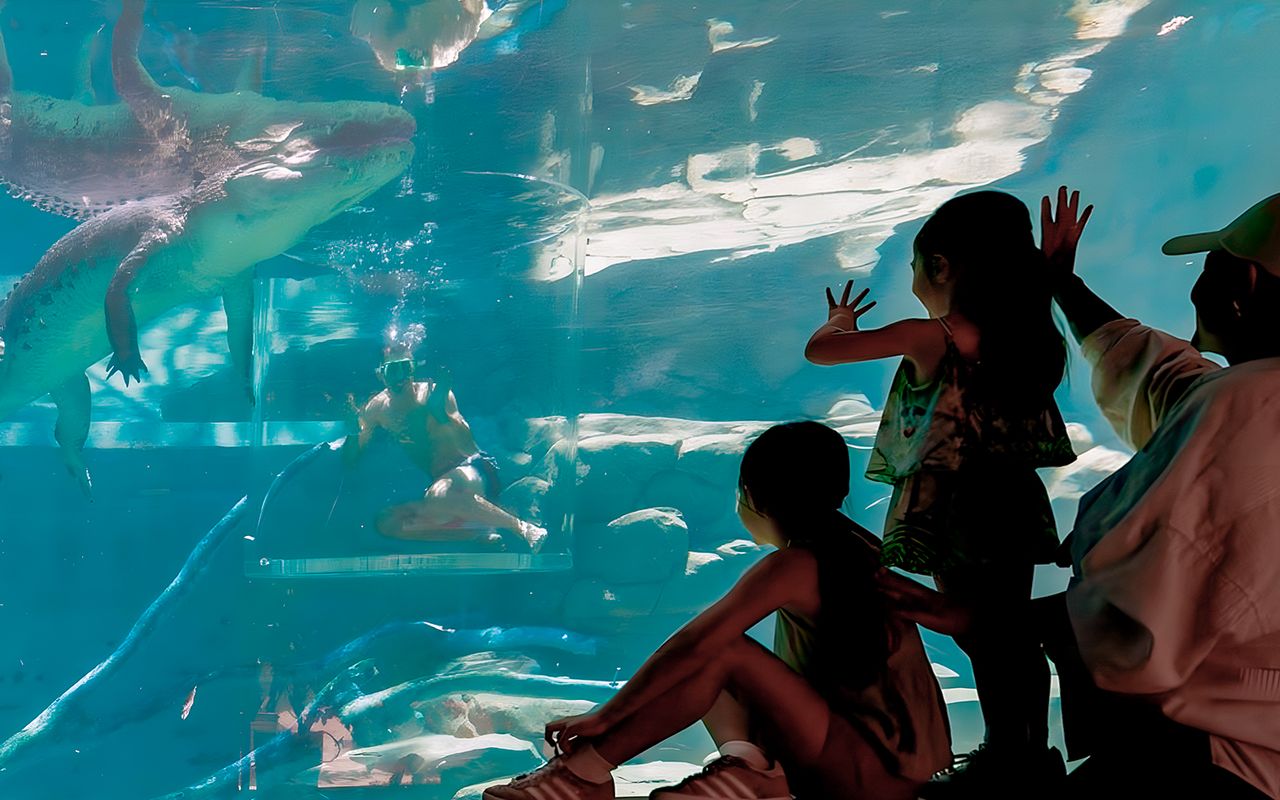 Crocosaurus Cove: biglietti per la gabbia della morte — 9