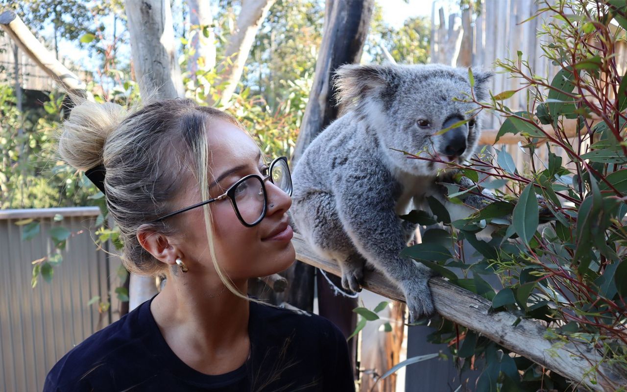 Tour delle Blue Mountains: Pranzo, Scenic World, Zoo di Sydney o Featherdale Wildlife Park, foto di Koala e ritorno in traghetto dal porto — 4