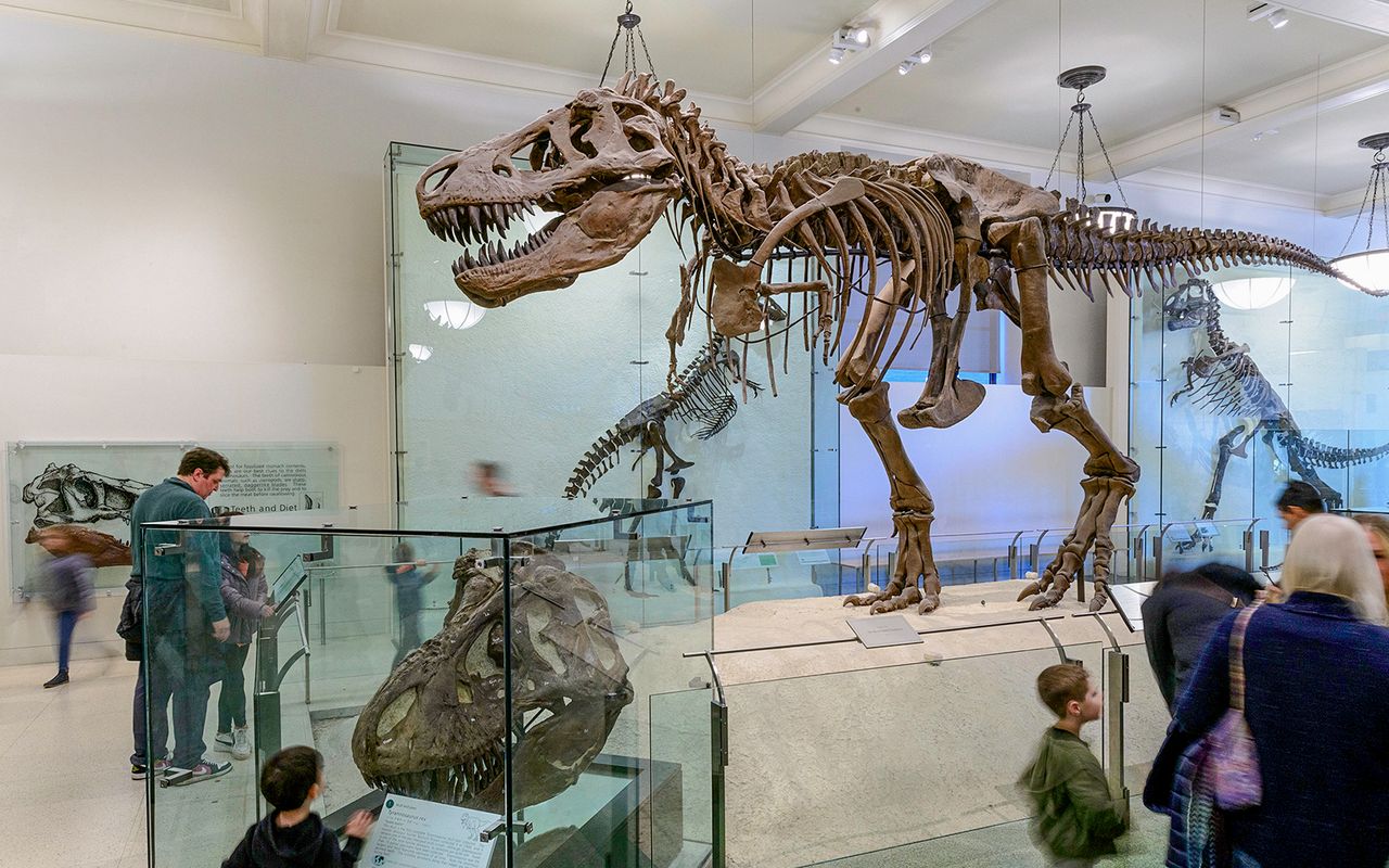 Biglietti per il Museo americano di storia naturale — 3