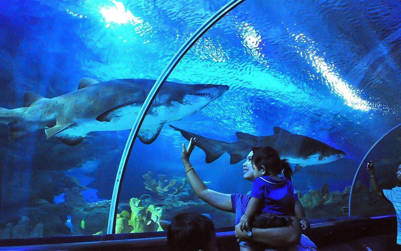 acquario kuala lumpur