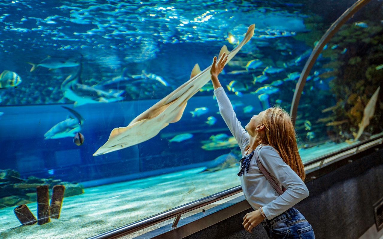 LEGOLAND® California + Parco acquatico + Acquario SEA LIFE: biglietti per 2 giorni — 5