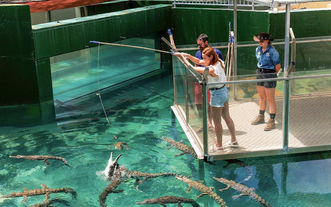 Biglietti Crocosaurus Cove con tour VIP