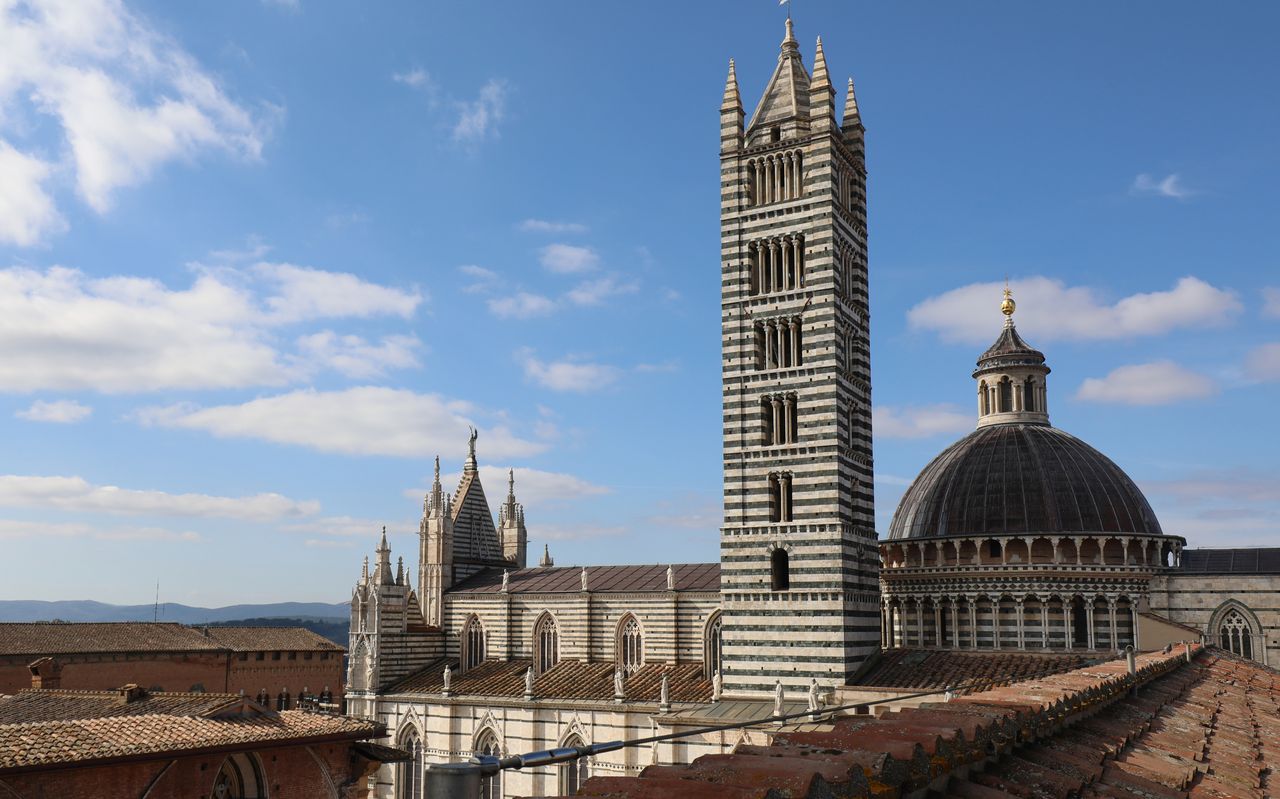 OPA SI PASS: complesso del duomo di Siena con audioguida — 5