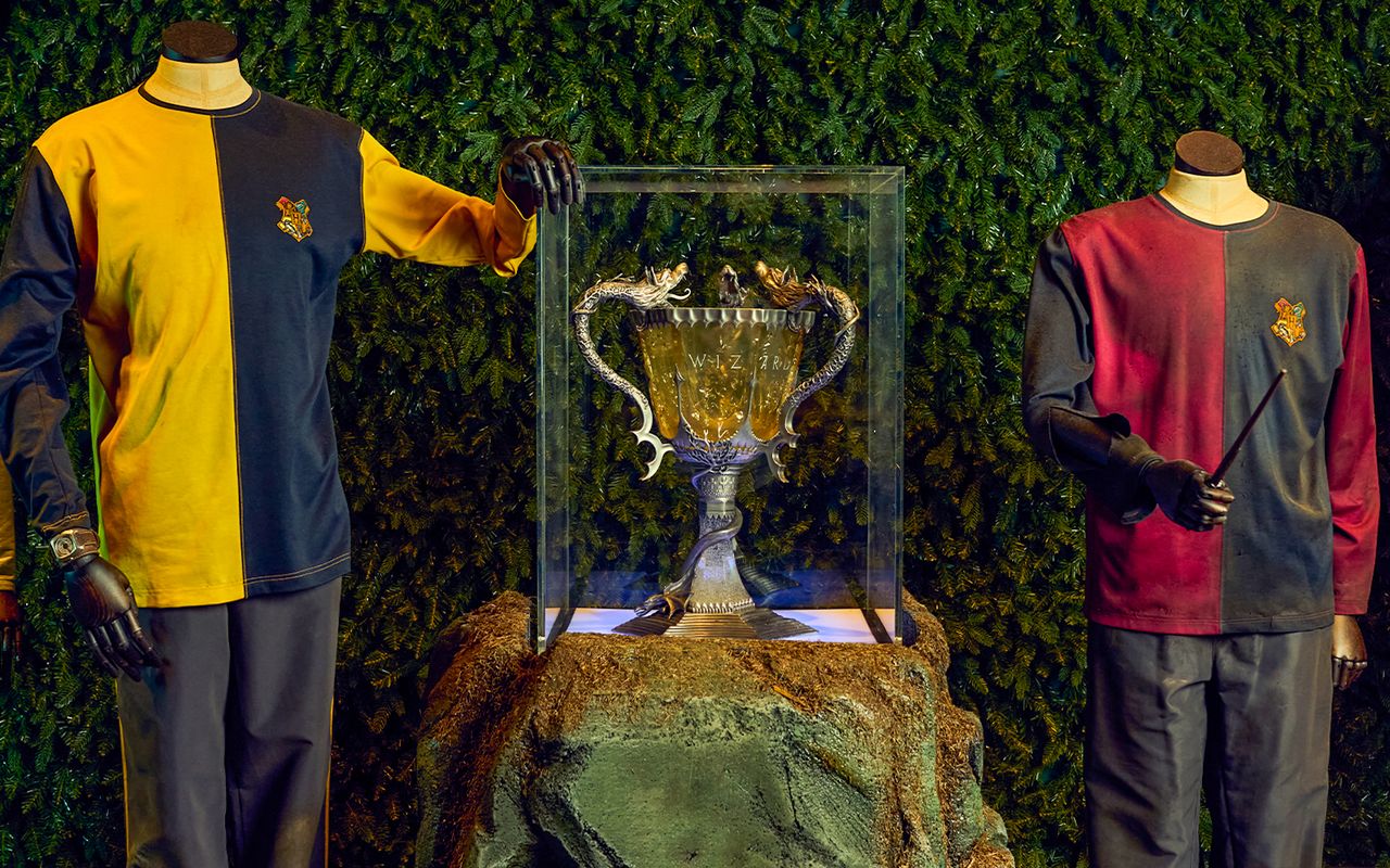 Da Londra: Harry Potter™ Warner Bros. Studios Tour con trasferimento di andata e ritorno — 8