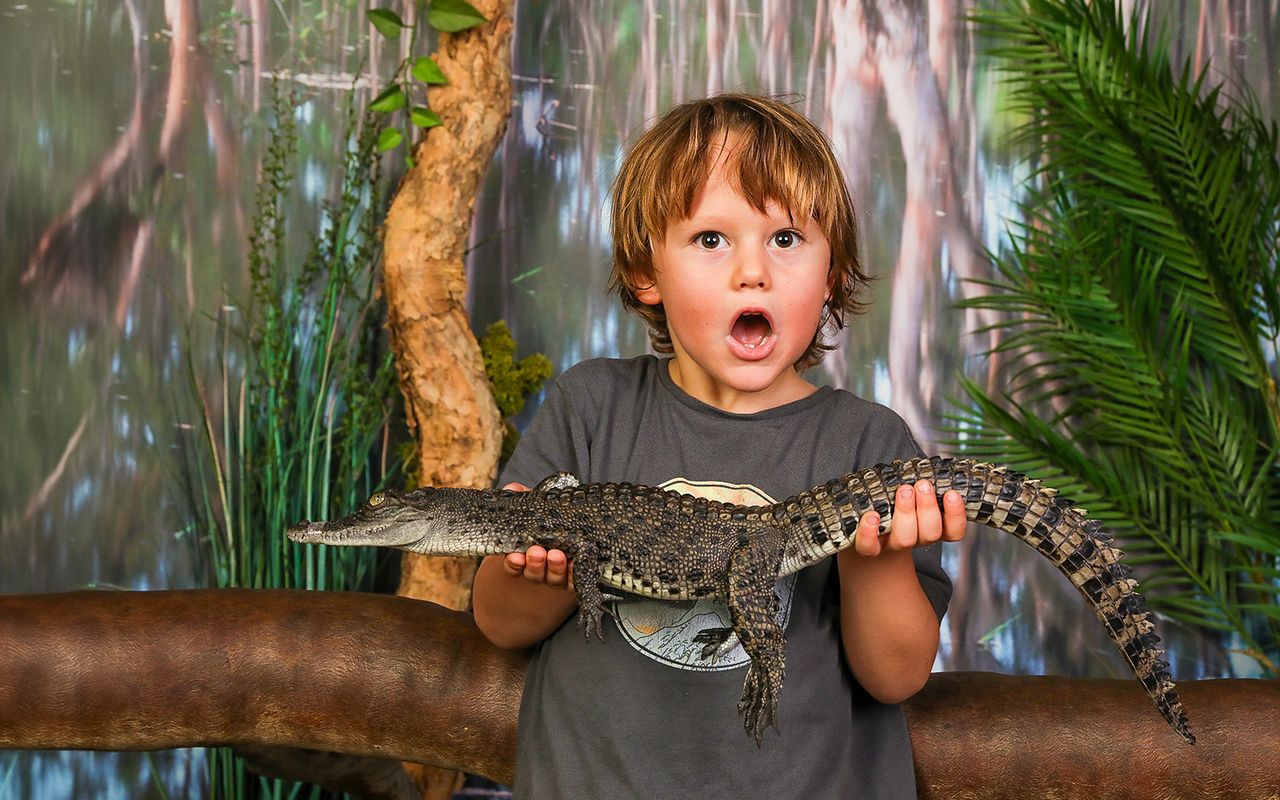 Crocosaurus Cove — 3