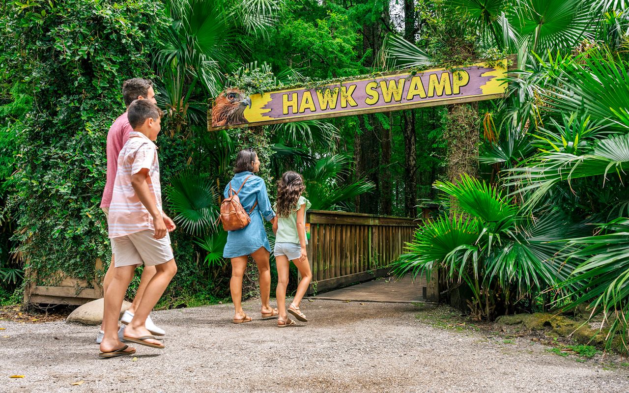 Orlando: Wild Florida - Tour in motoscafo di un'ora con parco degli alligatori Biglietti — 6