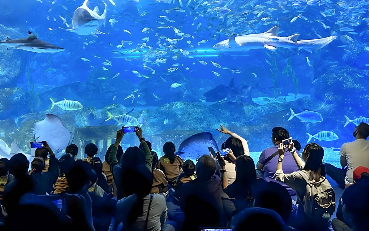 Biglietti per il SEA LIFE COEX, Acquario di Seoul — 6
