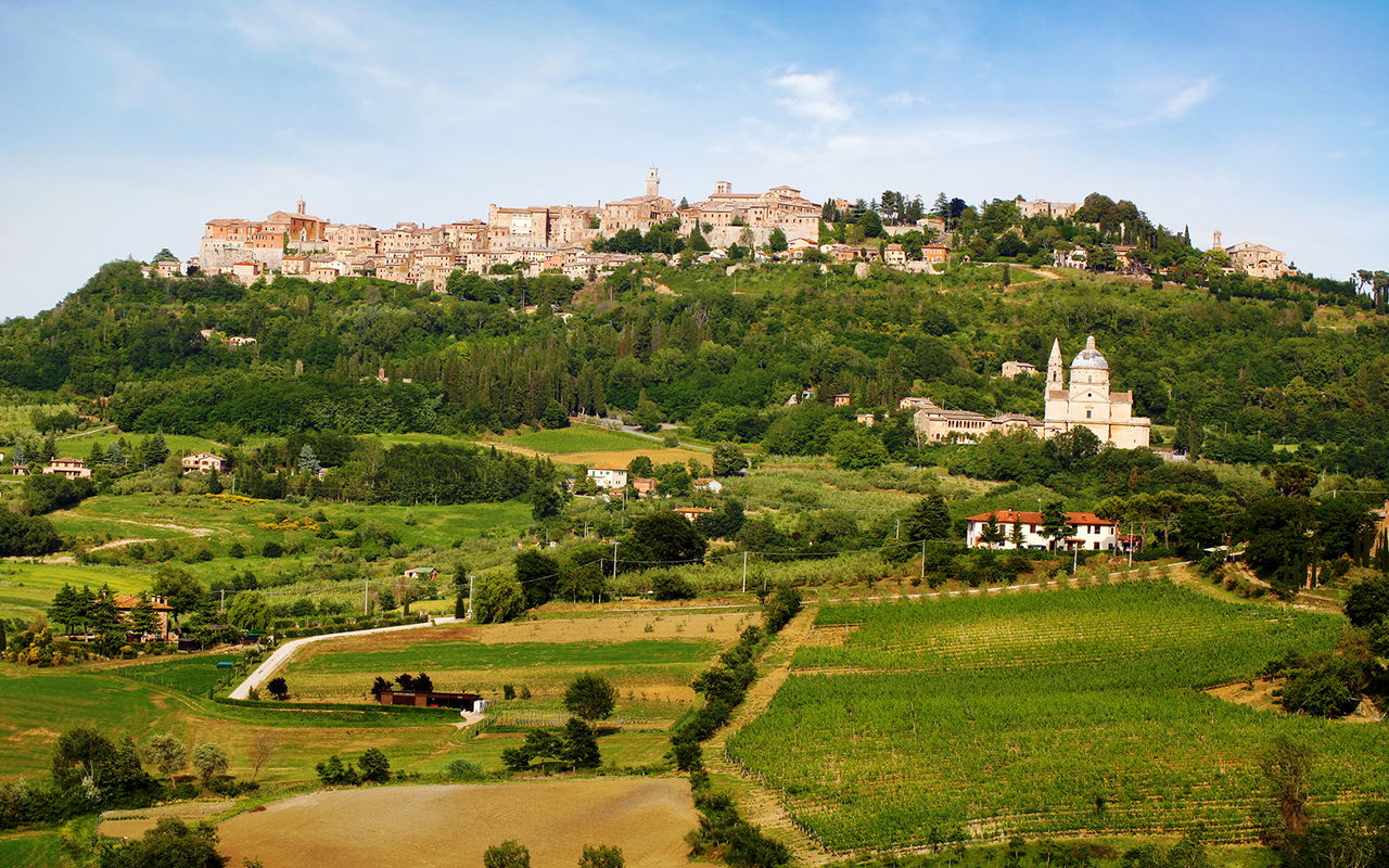 Chianti Classico, Montalcino, Montepulciano - Gita di un giorno da Firenze in minivan