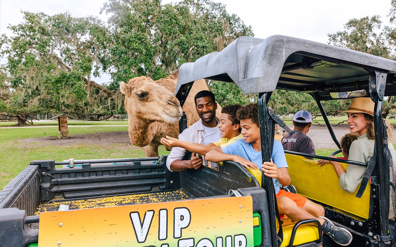 Orlando: Parco Safari Drive-Thru Wild Florida — 6