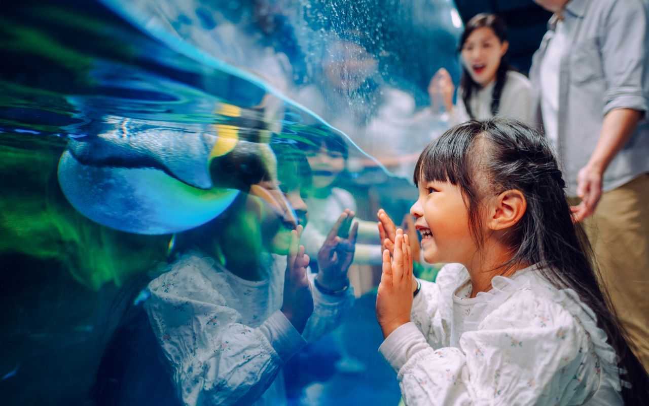 Biglietti per Ocean Park Hong Kong — 7