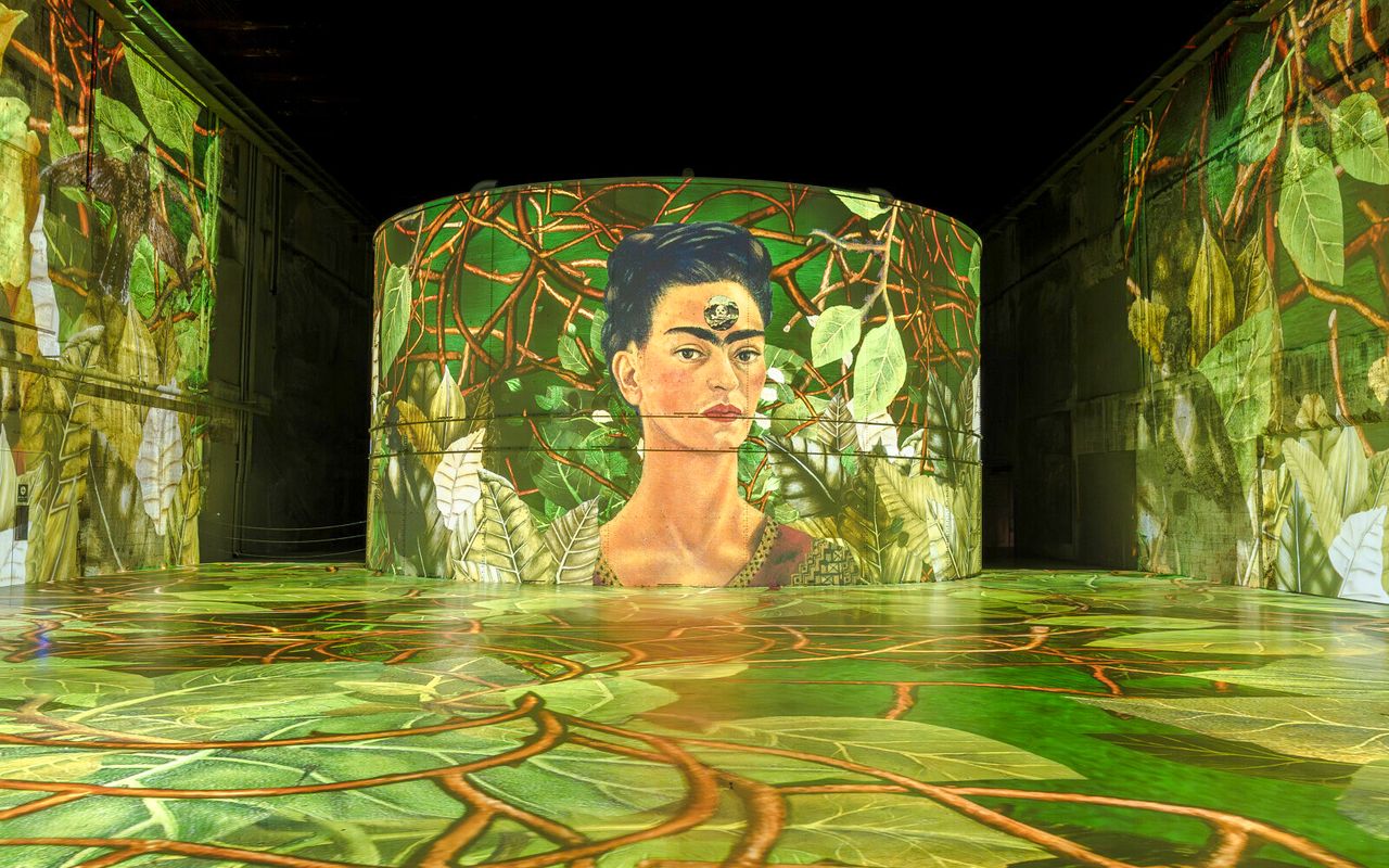 Bassins des Lumières: esperienza immersiva dedicata a Matisse e Frida Kahlo — 5