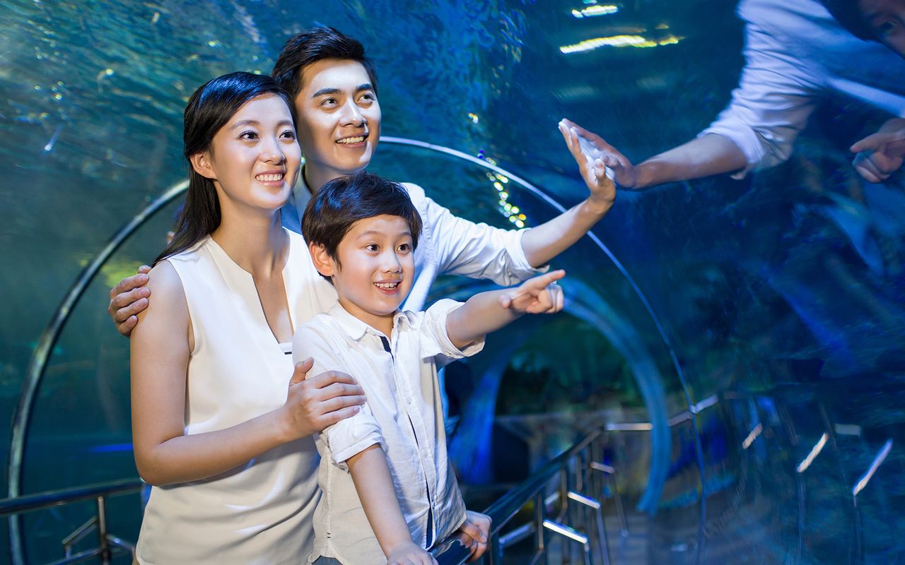 Biglietti per il SEA LIFE COEX, Acquario di Seoul