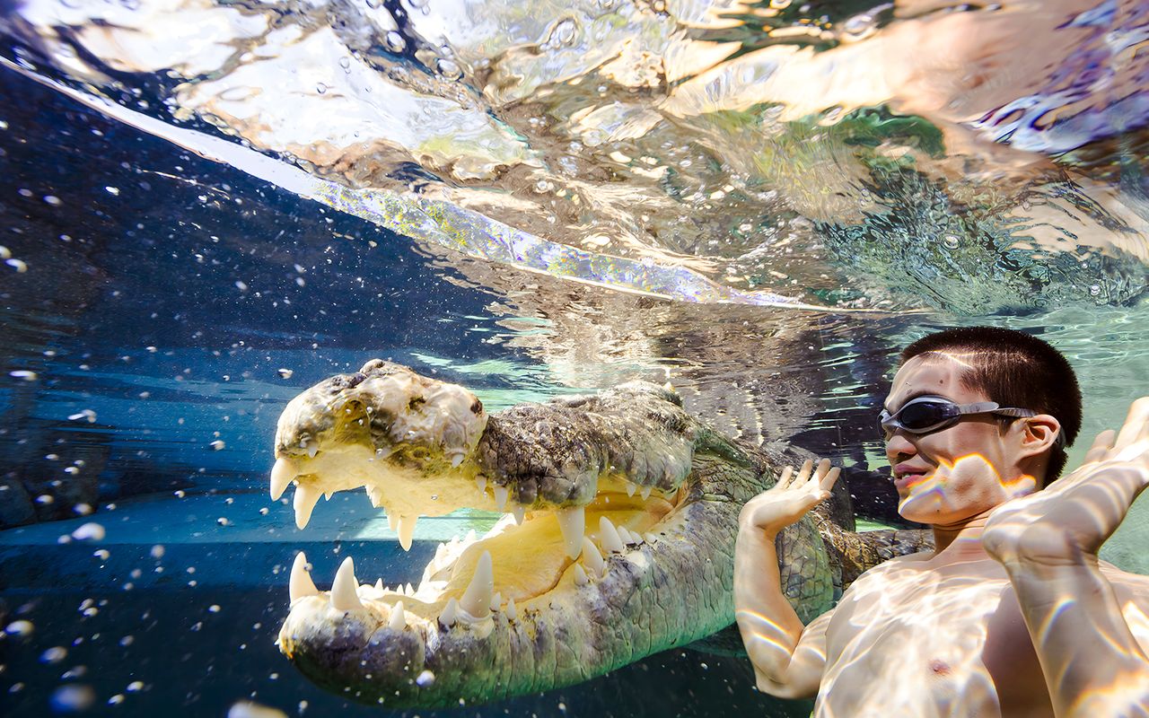 Crocosaurus Cove: biglietti per la gabbia della morte — 8