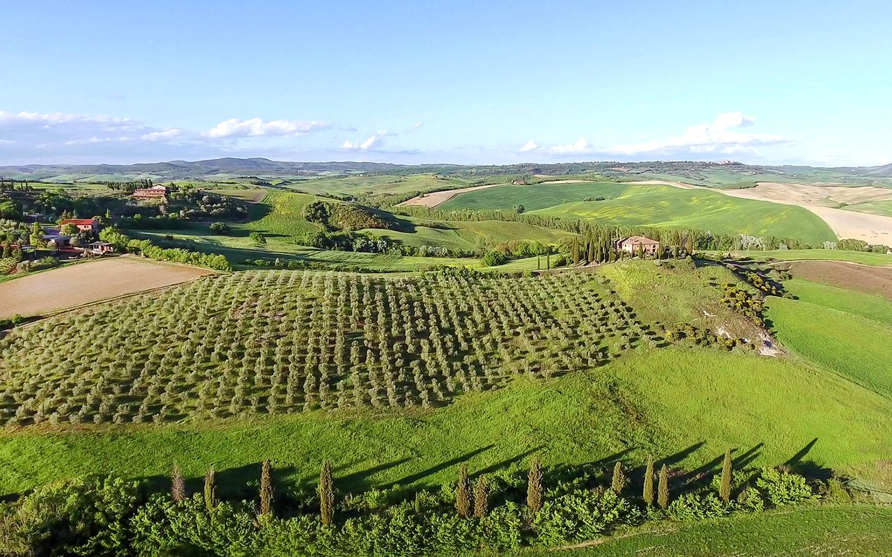 Da Firenze: tour in giornata di Siena e San Gimignano con degustazione di vini e pranzo — 8