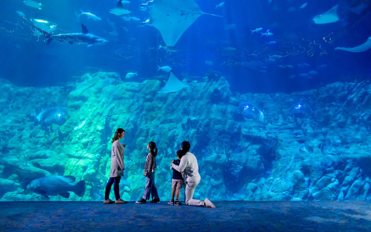 Biglietti per Ocean Park Hong Kong — 5
