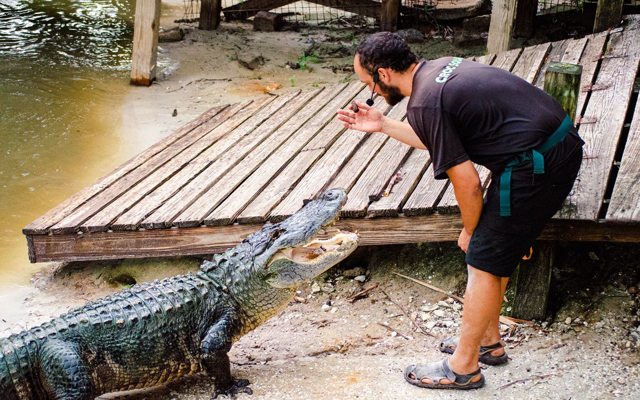 Orlando: Parco Safari Drive-Thru Wild Florida — 4
