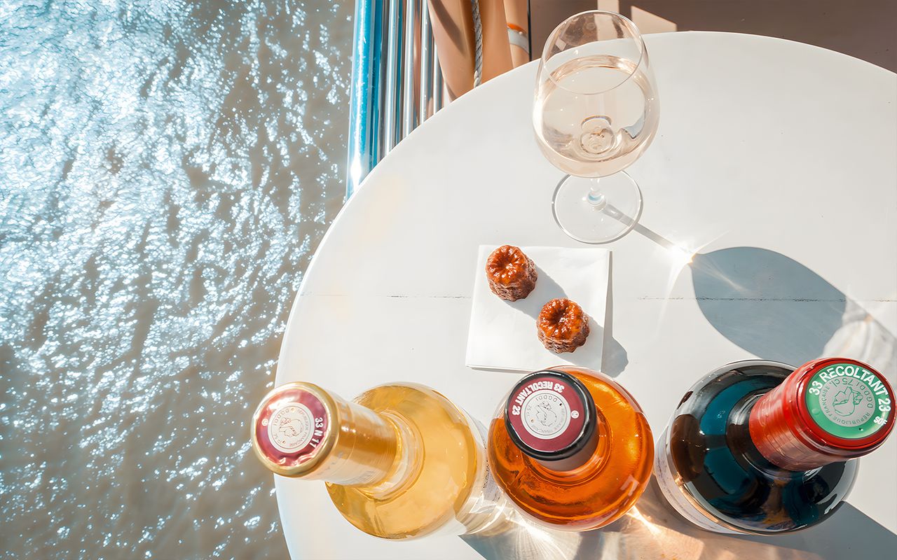 Crociera sul fiume Bordeaux con commento dal vivo — 6