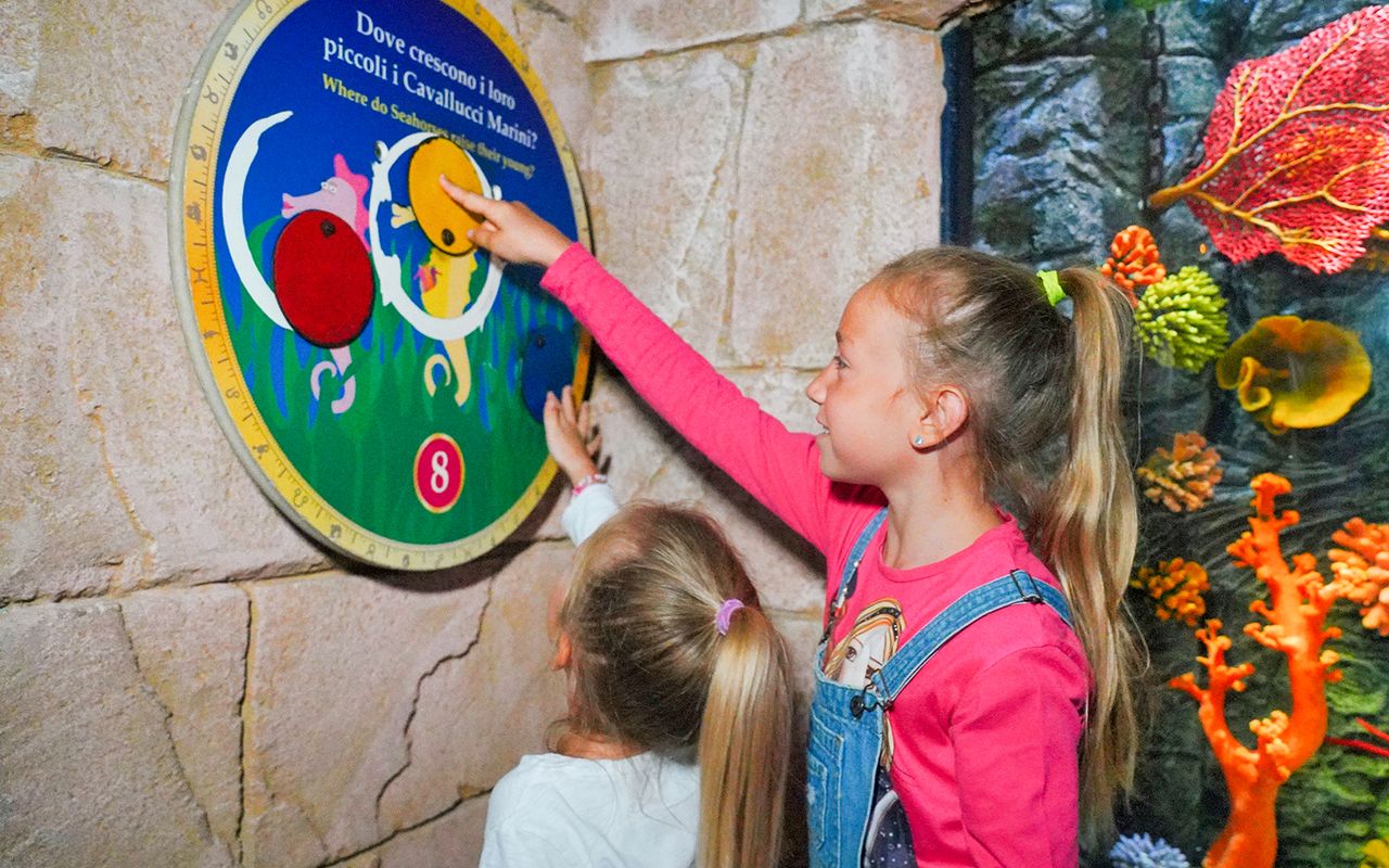 Biglietti d'ingresso al Gardaland SEA LIFE Aquarium — 7