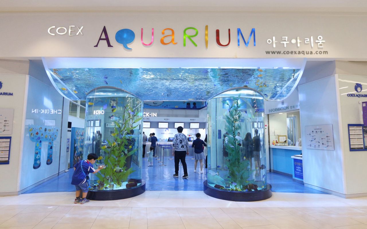 Biglietti per il SEA LIFE COEX, Acquario di Seoul — 5