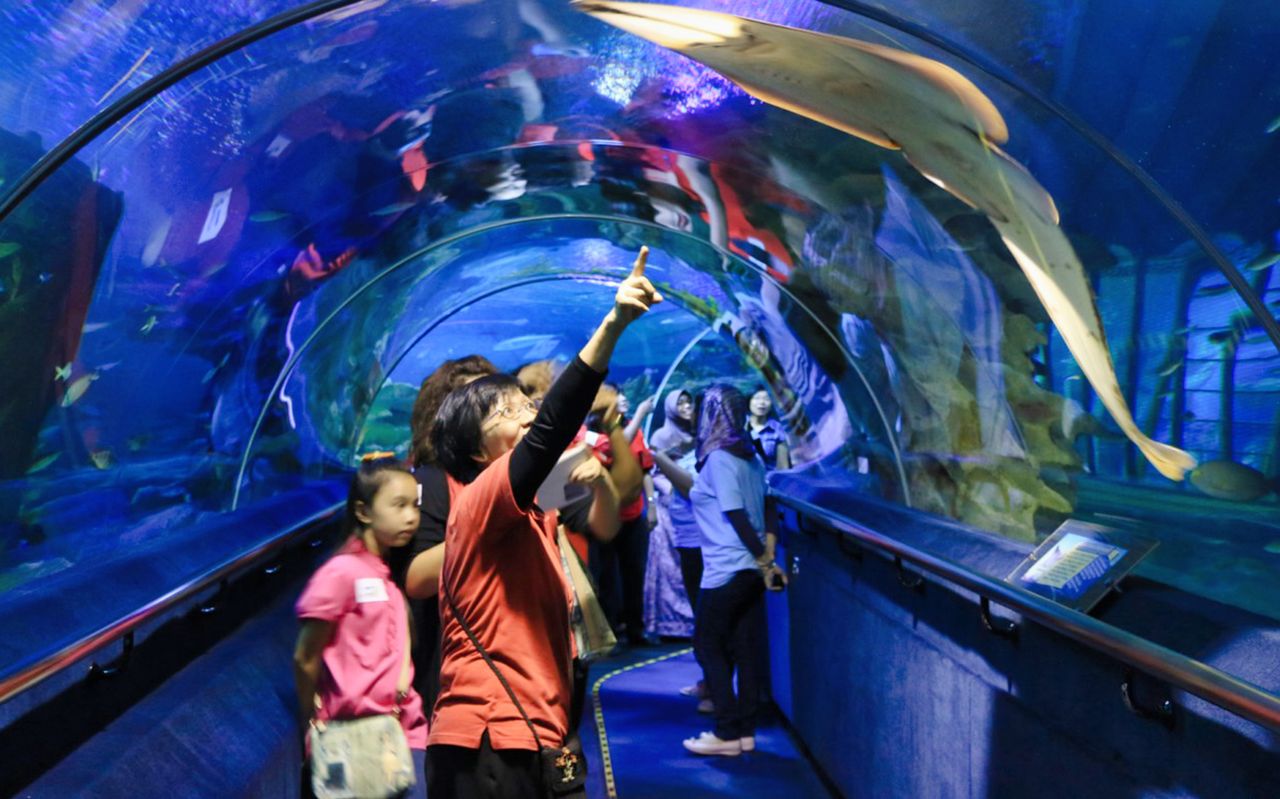 acquario kuala lumpur — 6