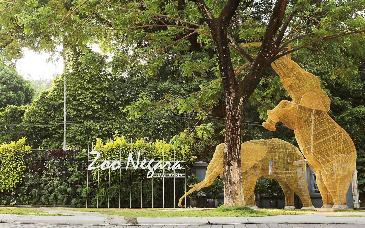 Biglietti per lo Zoo Negara e il Centro di Conservazione dei Panda — 7