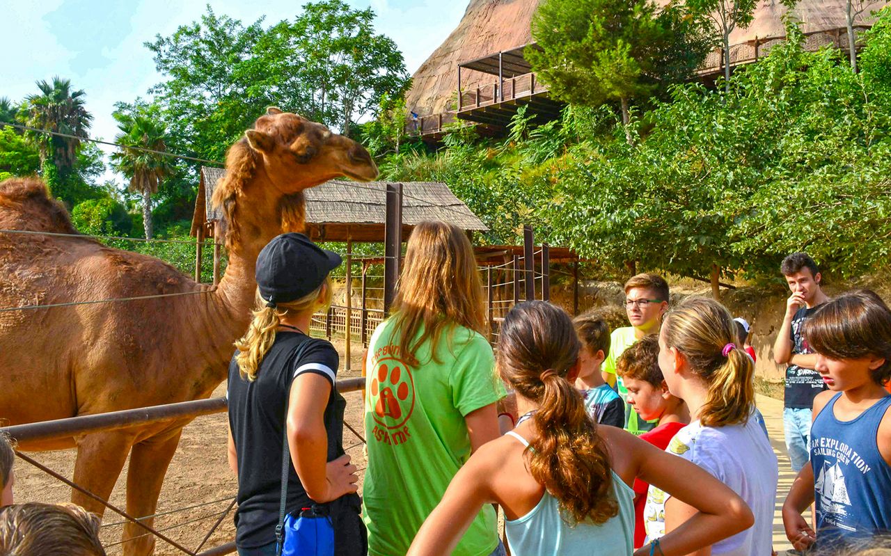 Biglietto per Terra Natura Benidorm: accesso rapido — 8