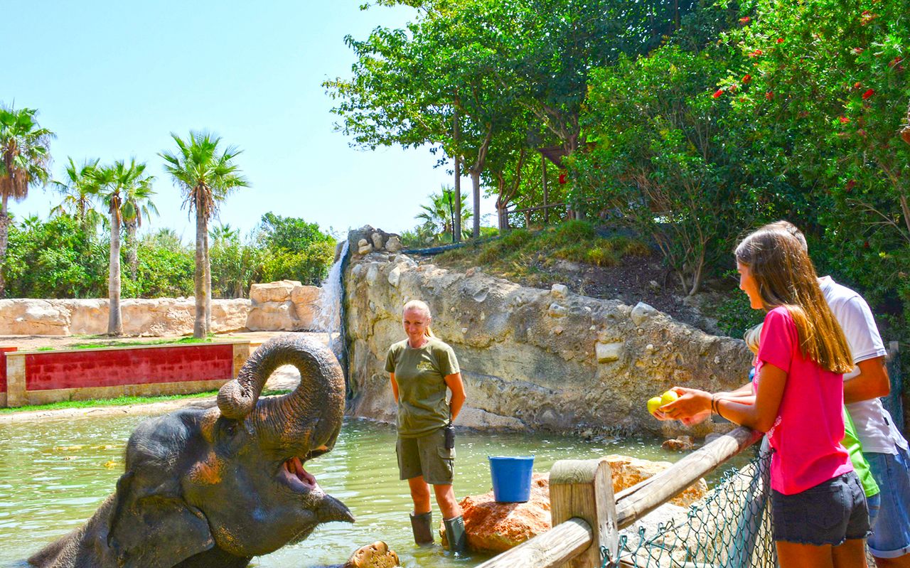 Biglietto per Terra Natura Benidorm: accesso rapido — 7