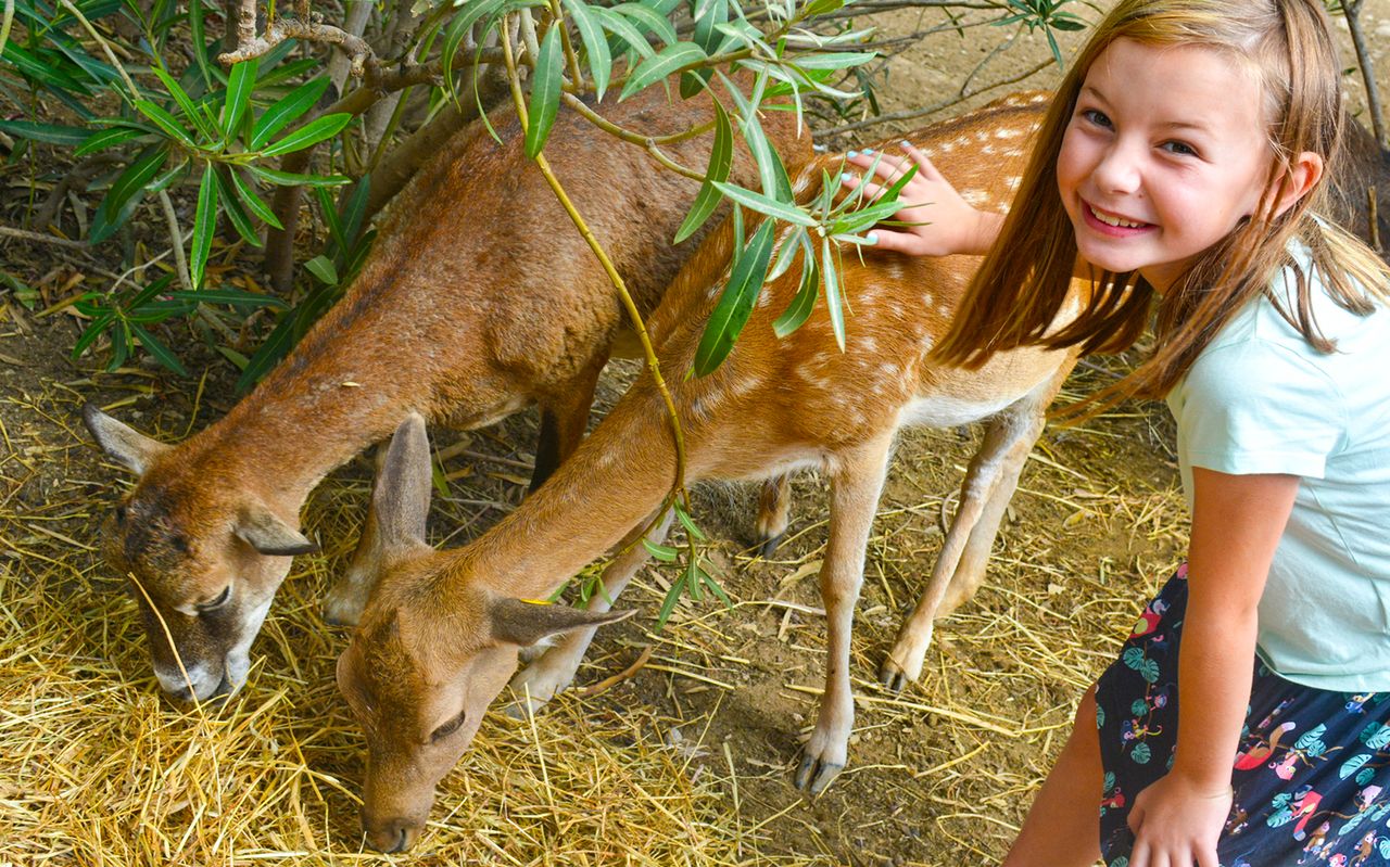 Biglietto per Terra Natura Benidorm: accesso rapido — 2