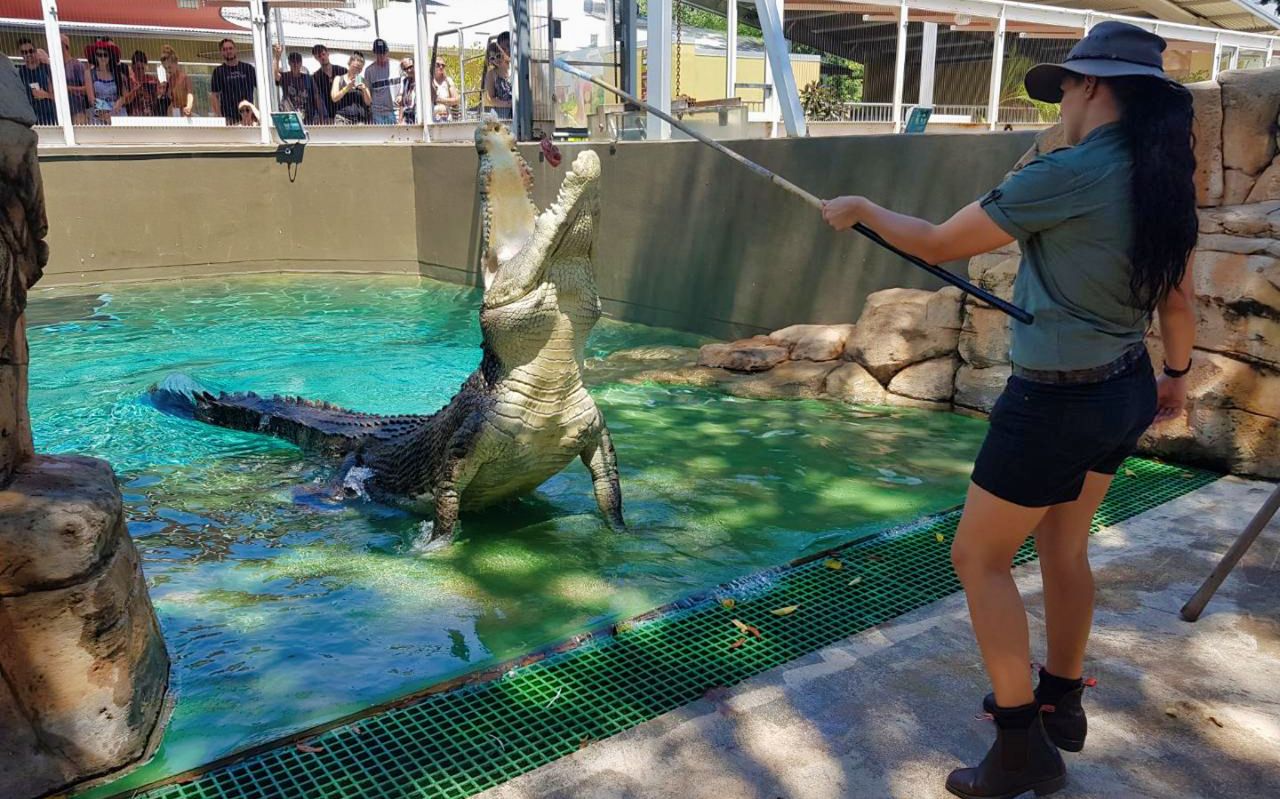 Crocosaurus Cove — 6