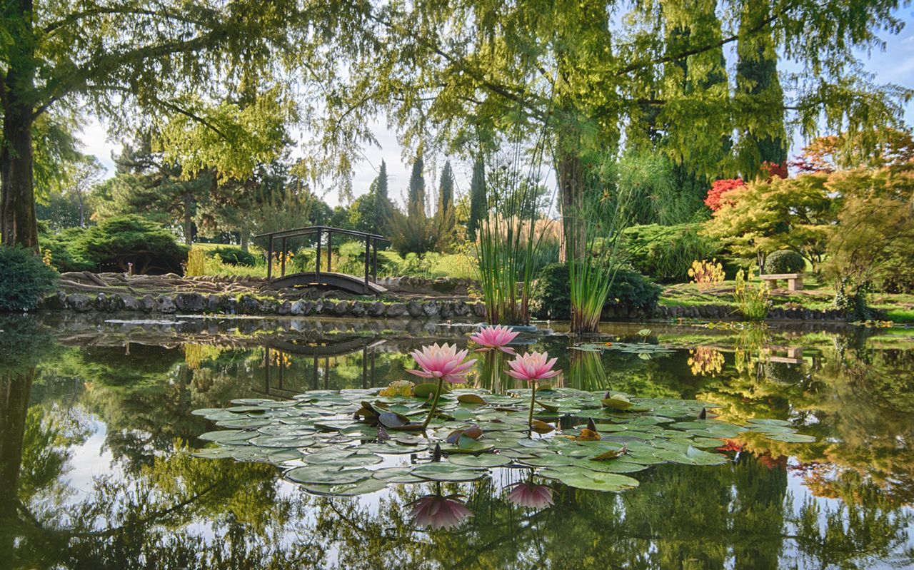 Biglietti per il Parco Giardino Sigurtà — 2