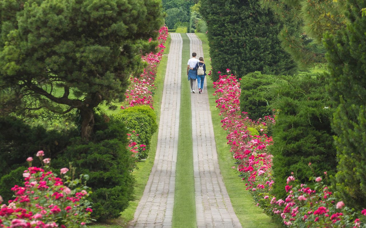 Biglietti per il Parco Giardino Sigurtà — 3