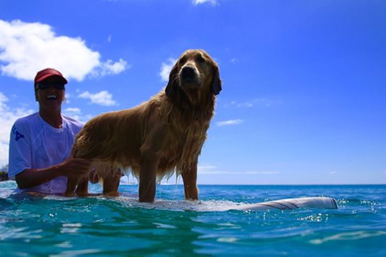 Lezioni di surf sulla costa nord di Oahu