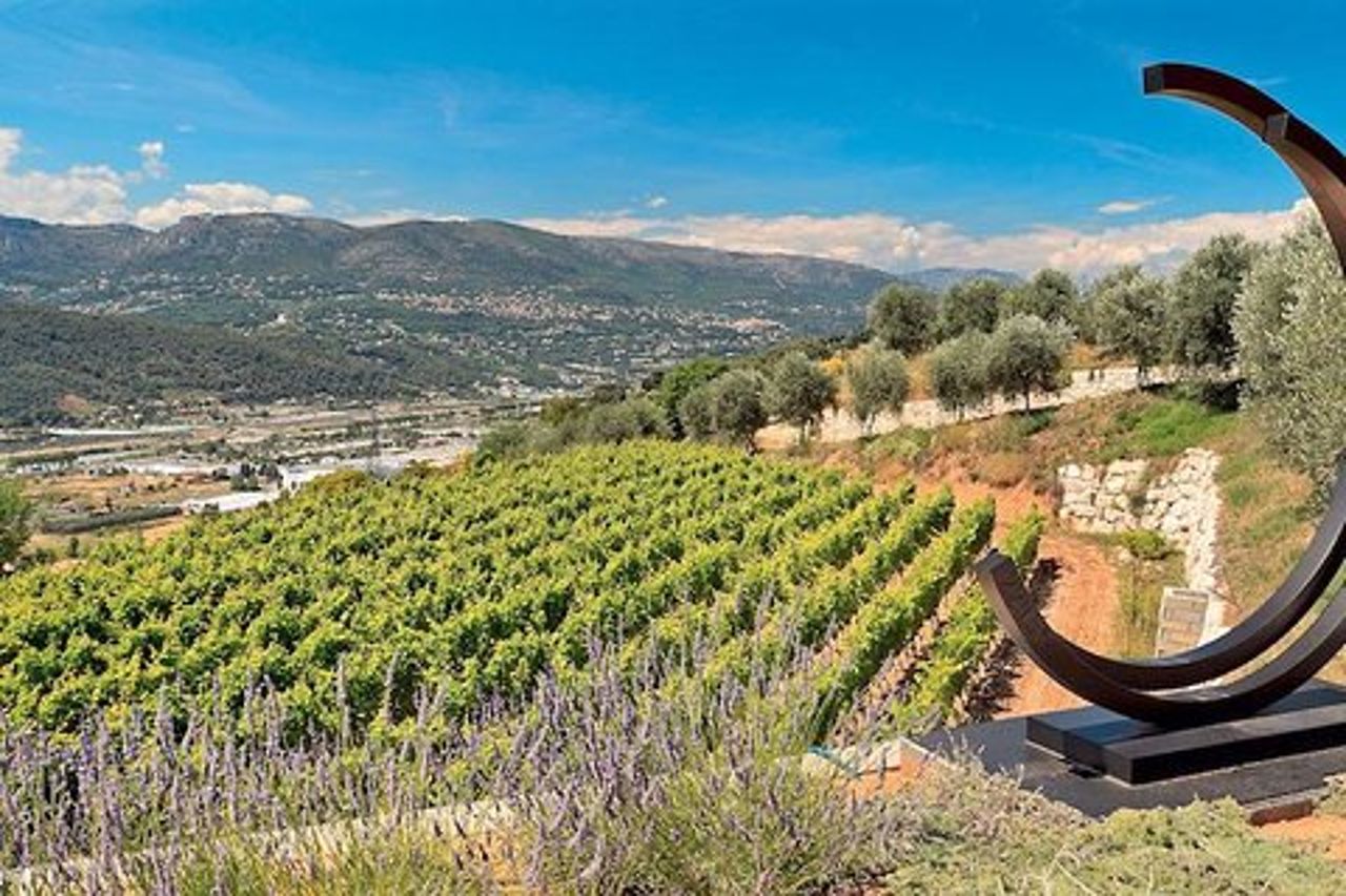Tour di degustazione di vini e cibi biologici semi-privati (da Nizza)