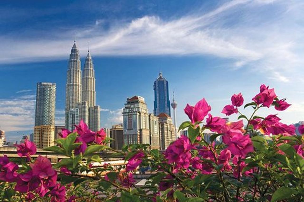 Tour di mezza giornata dei punti salienti della città di Kuala Lumpur con prelievo dall'hotel