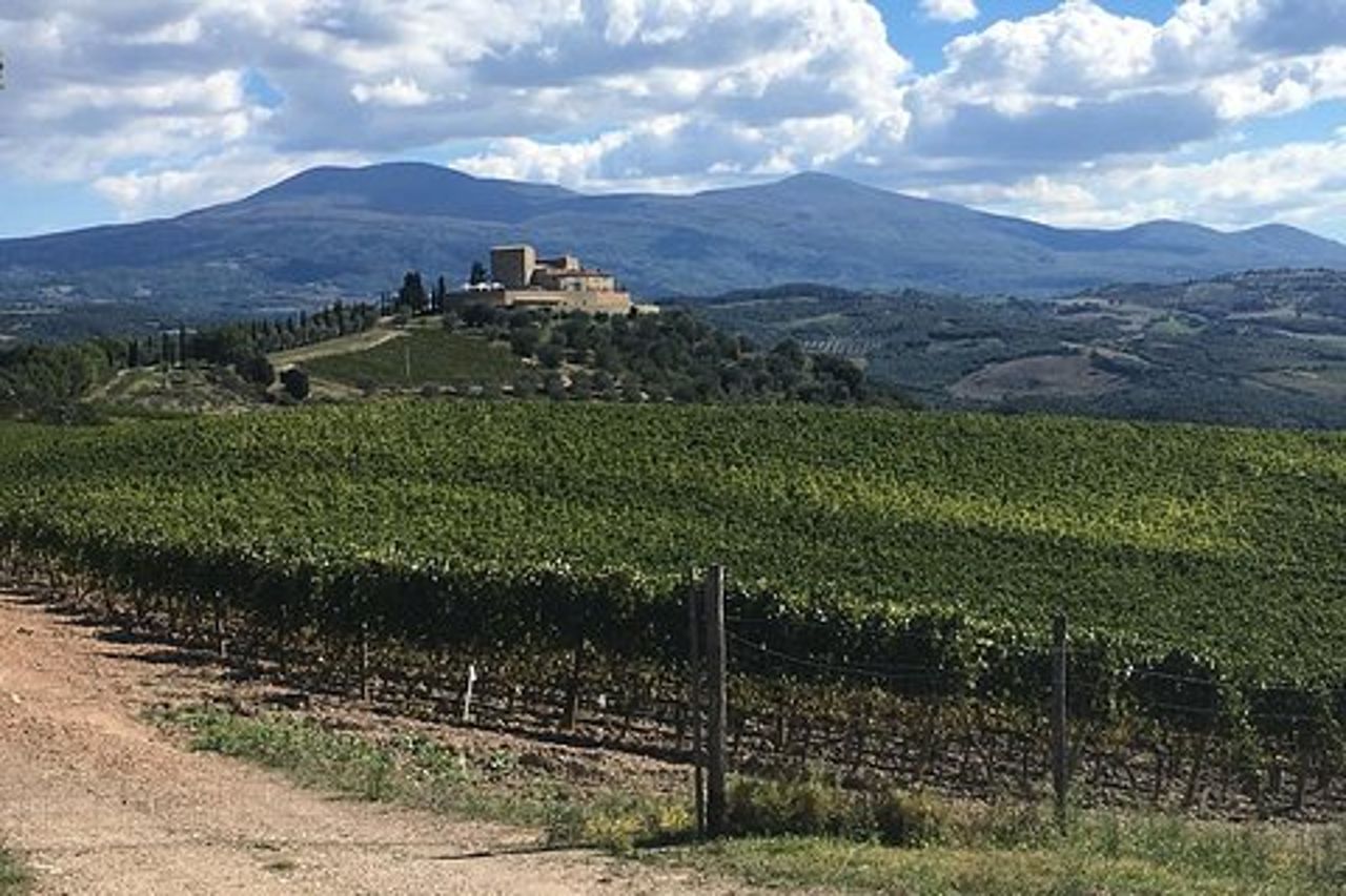 Tour in bici elettrica del Brunello